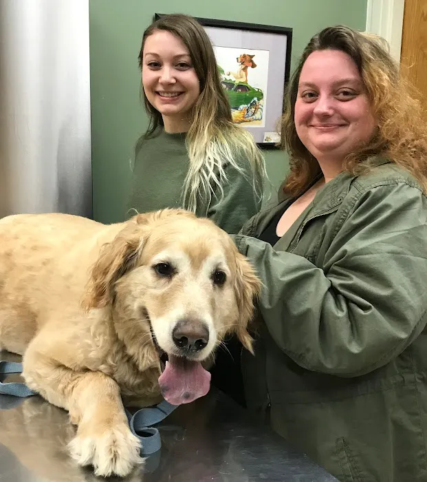 Airport Veterinary Center Picture 5