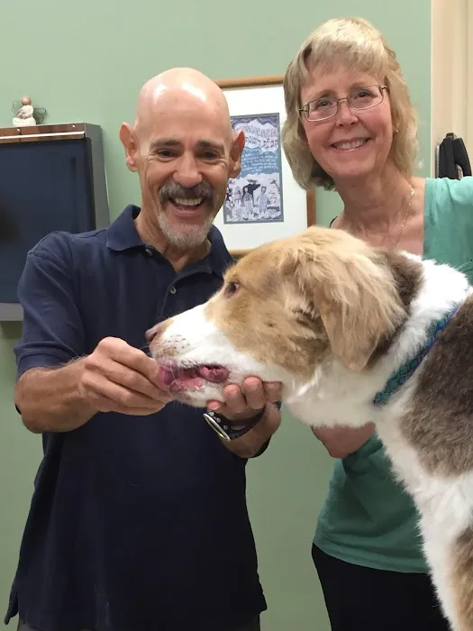 Airport Veterinary Center Picture 9