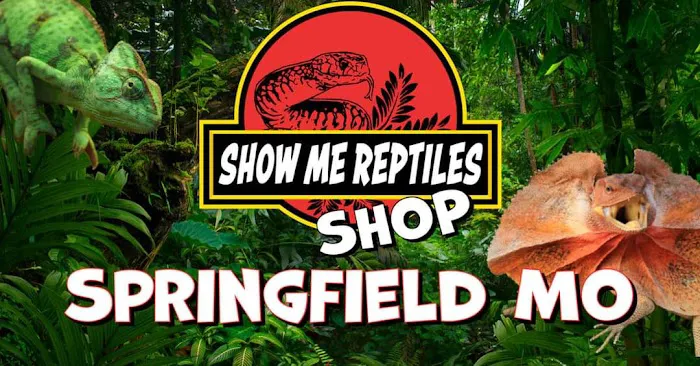Show Me Reptile Shop (Springfield) Picture 10