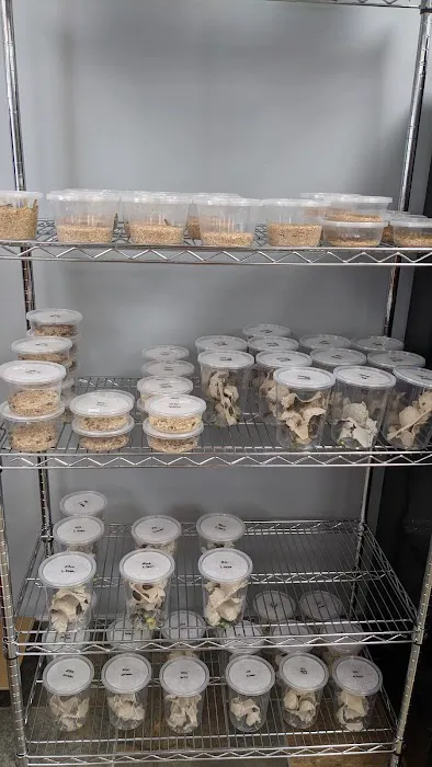 Show Me Reptile Shop (Springfield) Picture 3