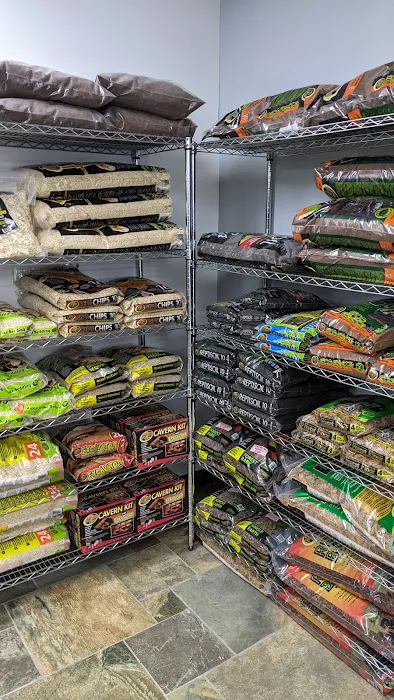 Show Me Reptile Shop (Springfield) Picture 5