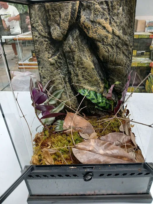 Show Me Reptile Shop (Springfield) Picture 9