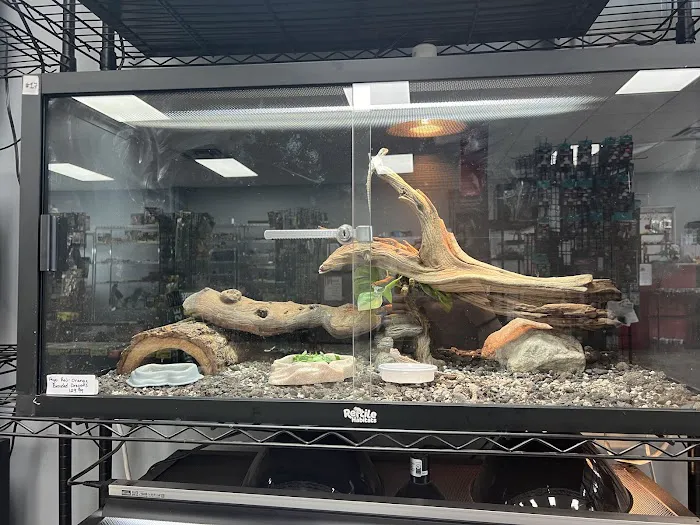Show Me Reptile Shop (Springfield) Picture 1