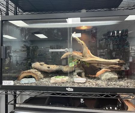 Show Me Reptile Shop (Springfield)