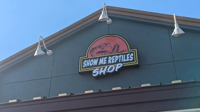 Show Me Reptile Shop (Springfield) Picture 7