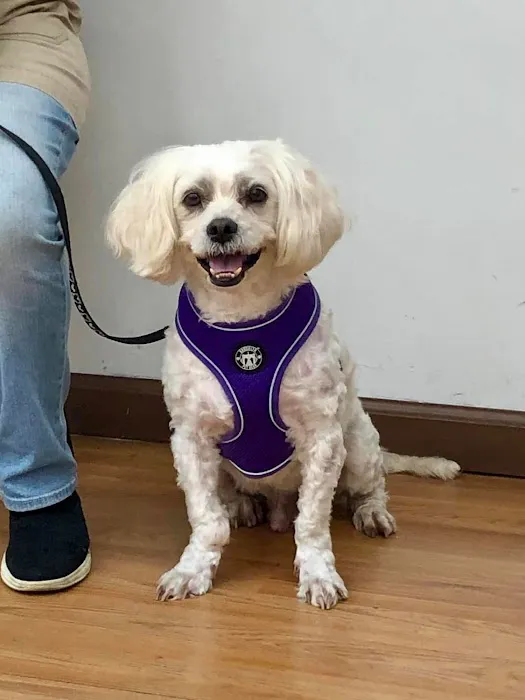 Catskill Veterinary Services, PLLC Picture 2