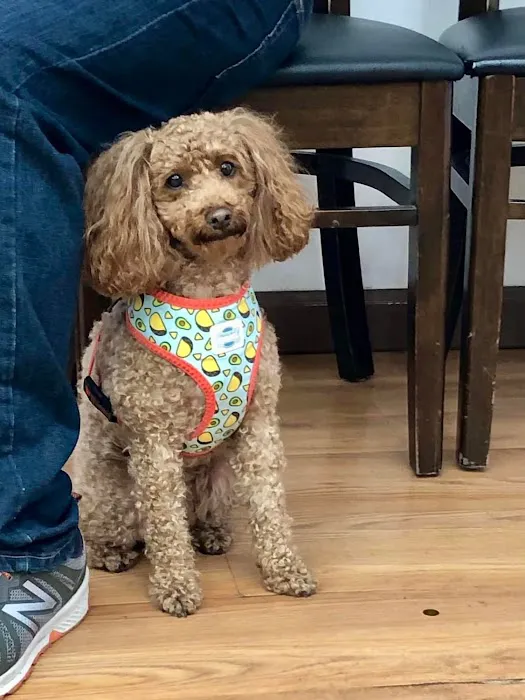 Catskill Veterinary Services, PLLC Picture 1