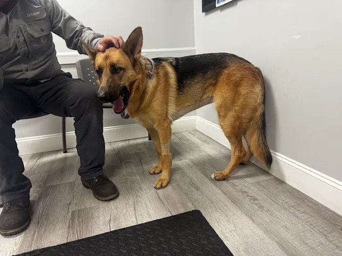 Catskill Veterinary Services, PLLC Picture 9