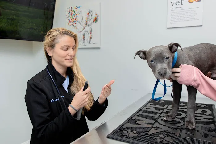 Catskill Veterinary Services, PLLC Picture 4