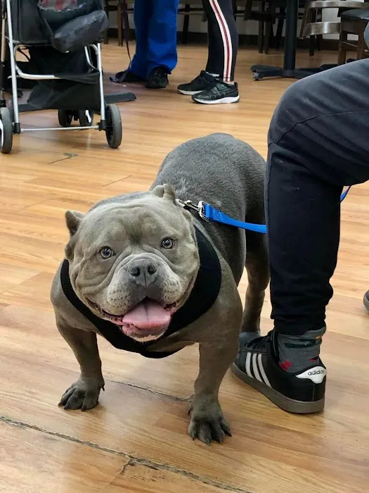 Catskill Veterinary Services, PLLC Picture 3