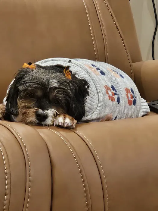 Banfield Pet Hospital Picture 9