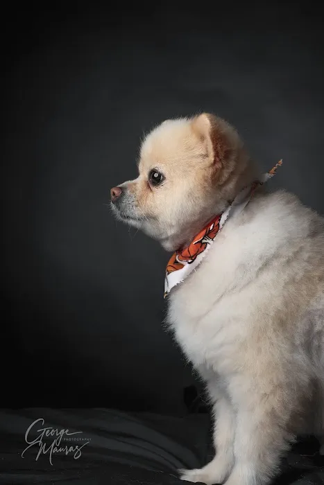 Banfield Pet Hospital Picture 3