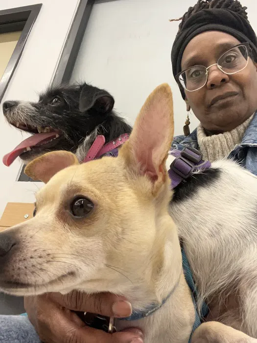 Banfield Pet Hospital Picture 7