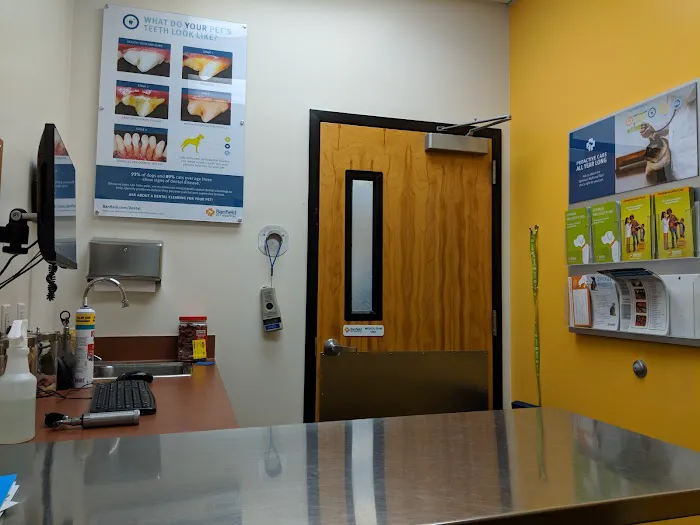 Banfield Pet Hospital Picture 1