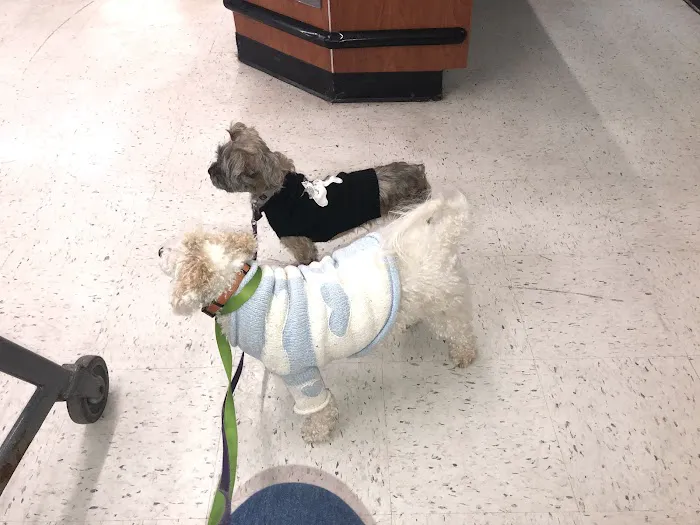 Banfield Pet Hospital Picture 5