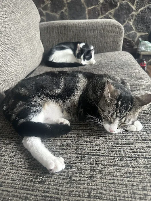 Animal Health Center Picture 1