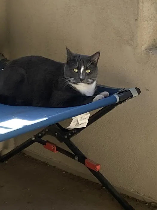 Animal Health Center Picture 2