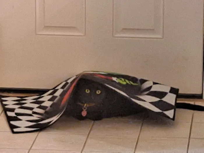 Animal Health Center Picture 9