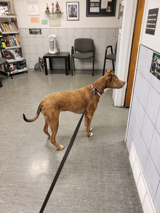 Animal Health Center Picture 5