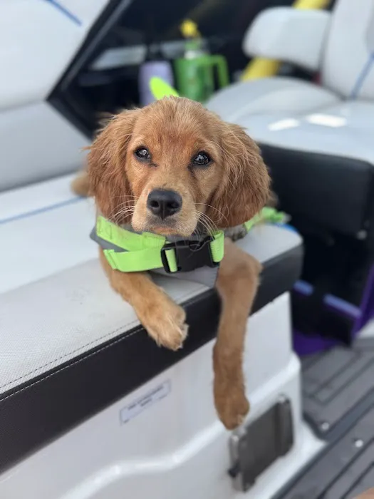 Peace Mountain Puppy Picture 5