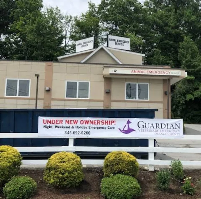 Guardian Veterinary Emergency Picture 8