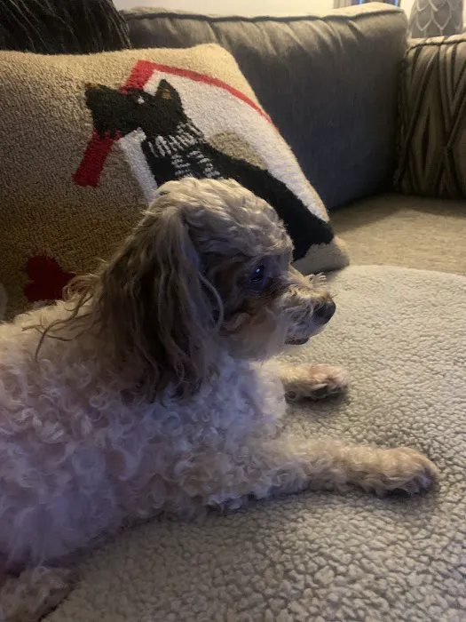 Guardian Veterinary Emergency Picture 7