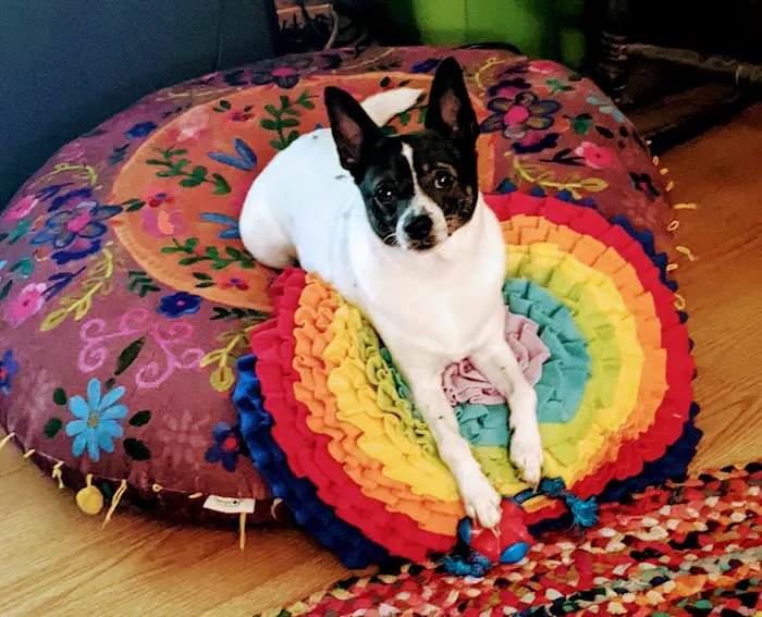 Guardian Veterinary Emergency Picture 2