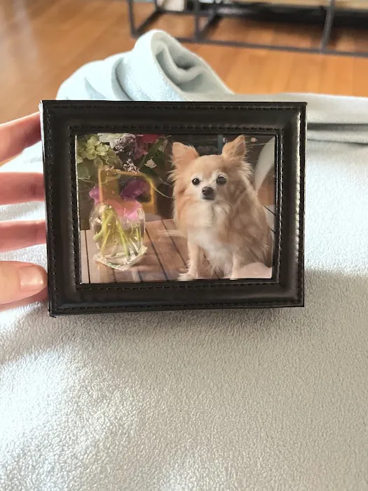 Guardian Veterinary Emergency Picture 6