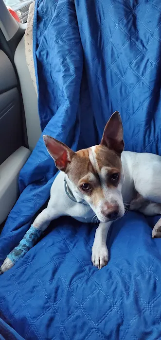 Guardian Veterinary Emergency Picture 4