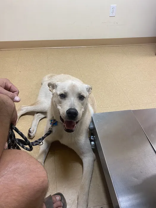 Guardian Veterinary Emergency Picture 10