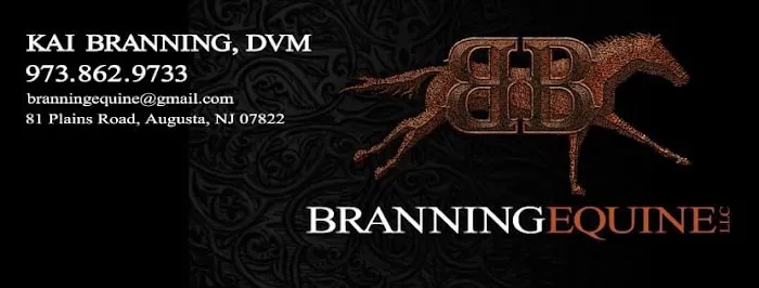 Branning Equine Picture 1