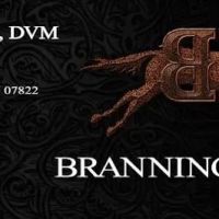 Branning Equine ico