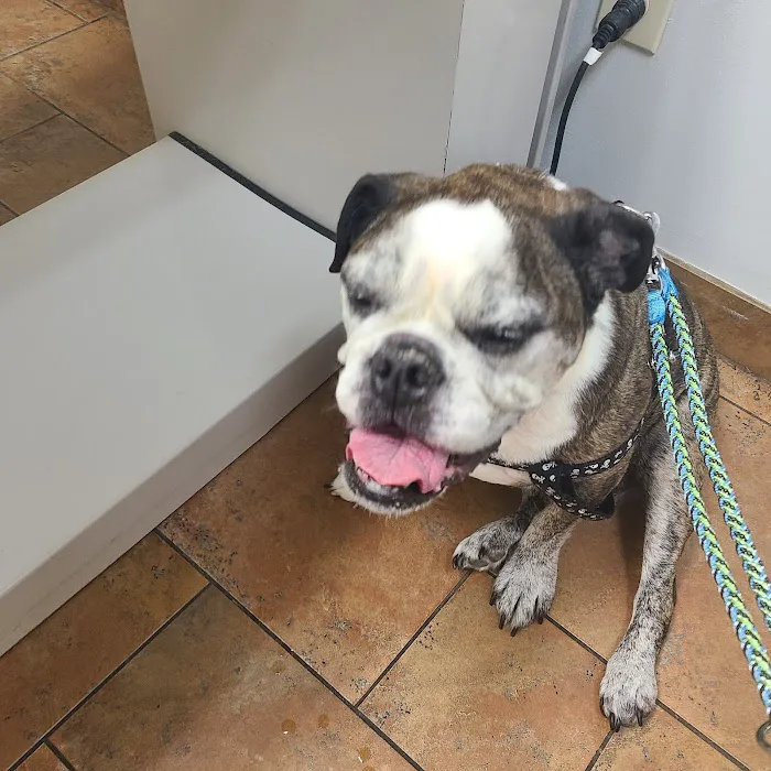 The Highlands Veterinary Hospital Picture 6