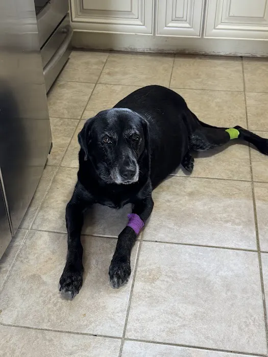 The Highlands Veterinary Hospital Picture 1