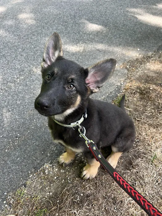 The Highlands Veterinary Hospital Picture 9