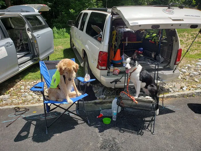 The Highlands Veterinary Hospital Picture 10