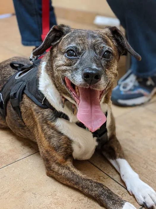 Animal Hospital of Sussex County Picture 7