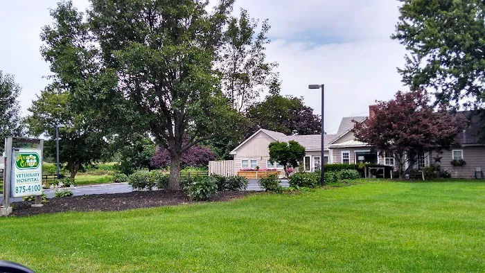 Animal General Veterinary Hospital Picture 6