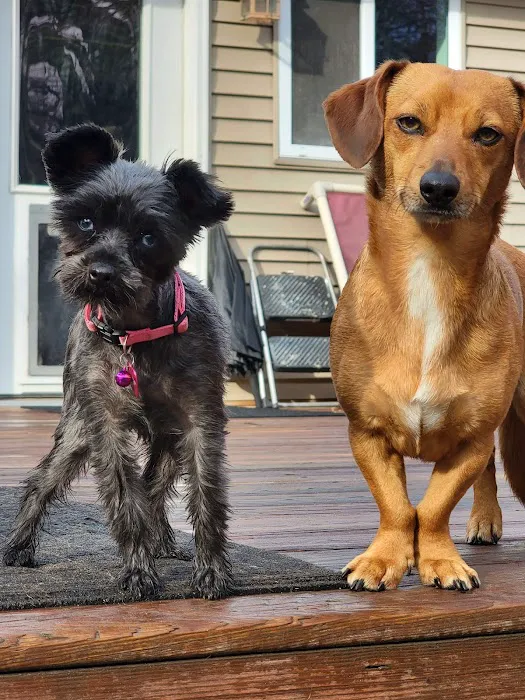 Animal General Veterinary Hospital Picture 9