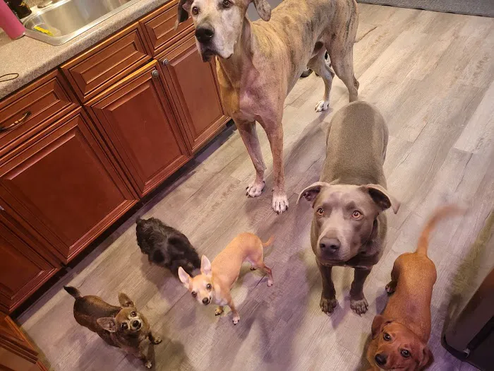 Animal General Veterinary Hospital Picture 7