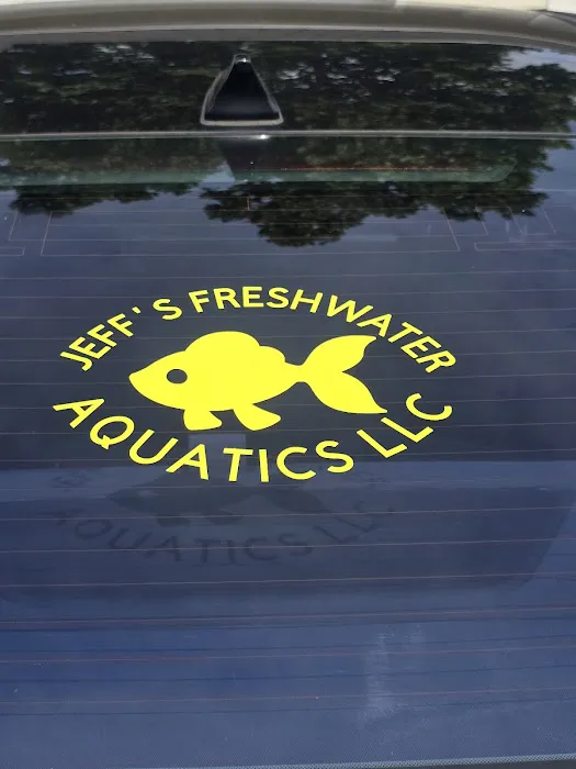 jeffsfreshwateraquatics Picture 8