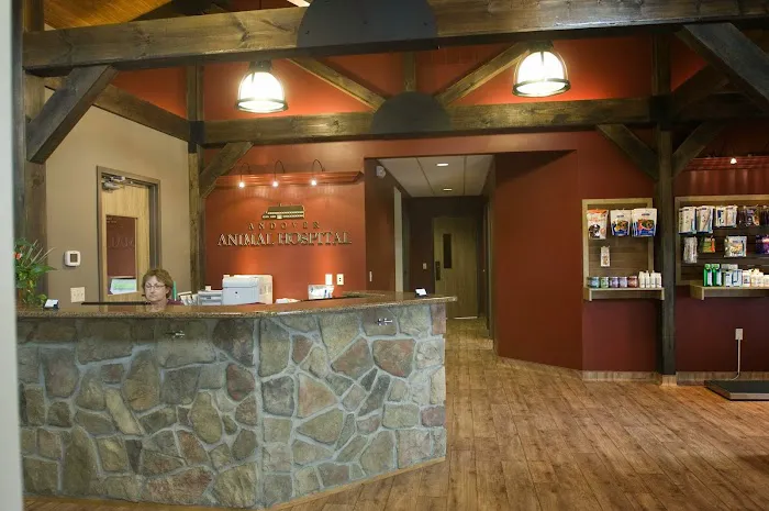 Andover Animal Hospital Picture 4