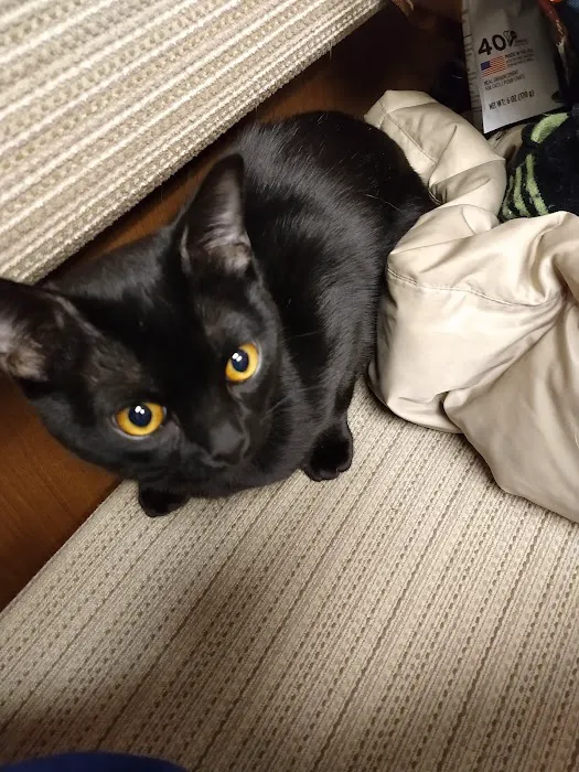 Andover Animal Hospital Picture 9