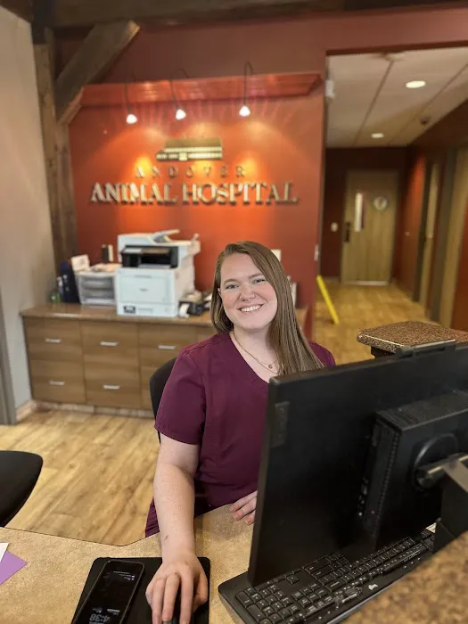 Andover Animal Hospital Picture 10