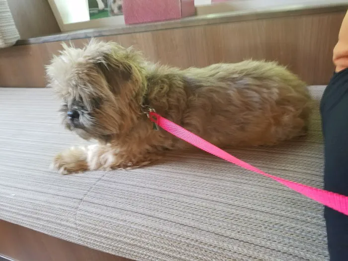 Andover Animal Hospital Picture 7