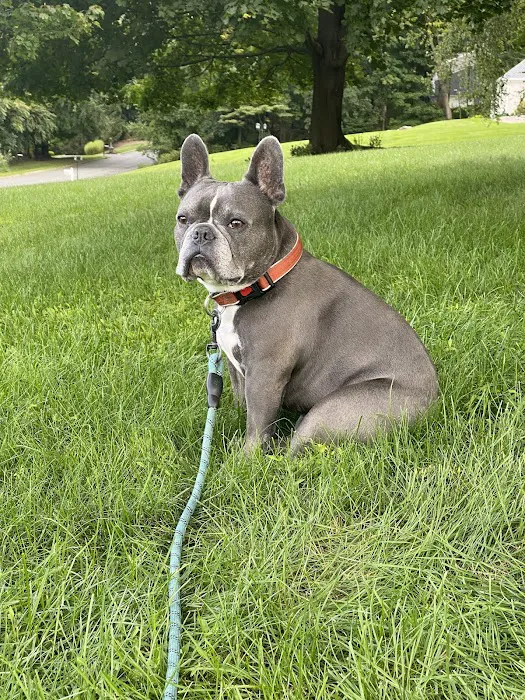 Andover Animal Hospital Picture 5