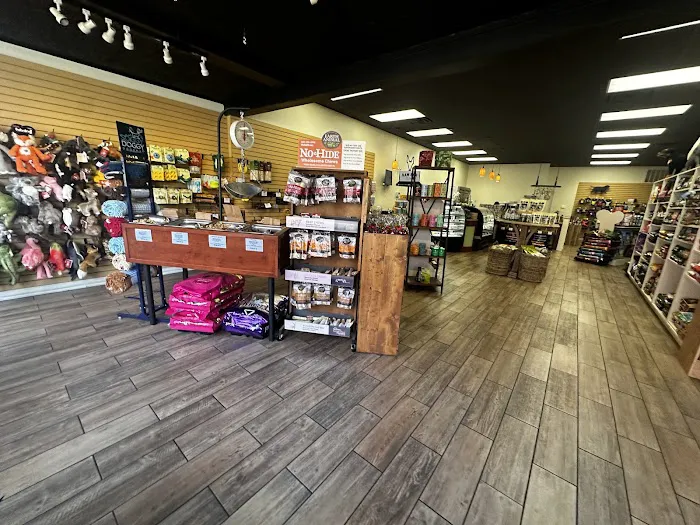 Drooly's Dog Bakery Picture 3