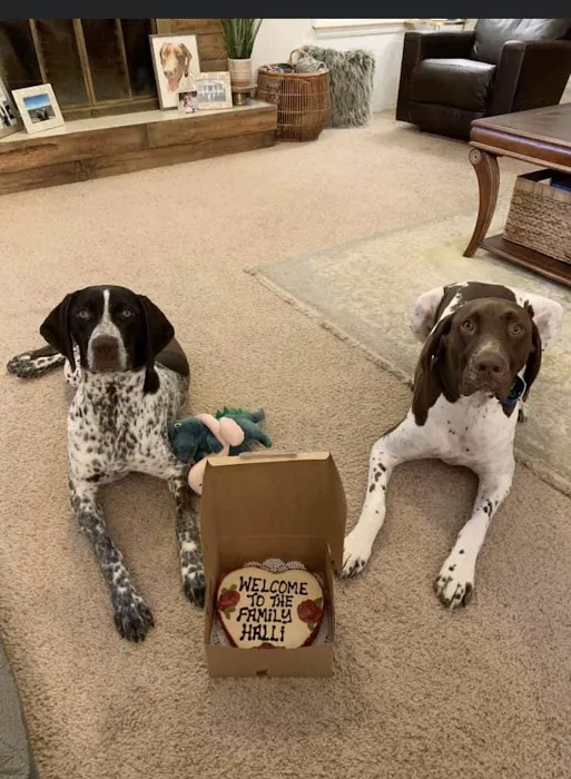 Drooly's Dog Bakery Picture 6