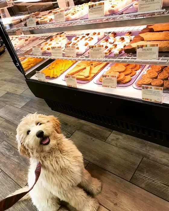 Drooly's Dog Bakery Picture 10