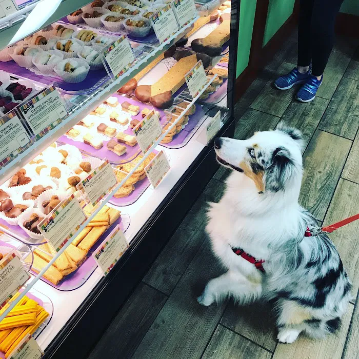 Drooly's Dog Bakery Picture 5